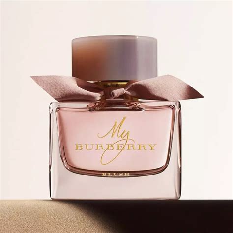 the best burberry perfumes|best Burberry perfumes women's.